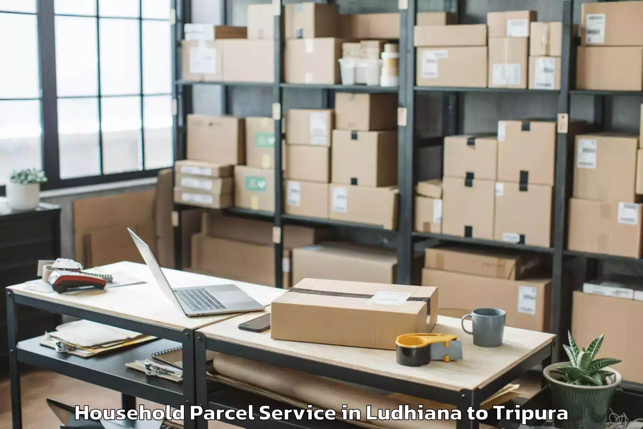 Hassle-Free Ludhiana to Amarpur Household Parcel